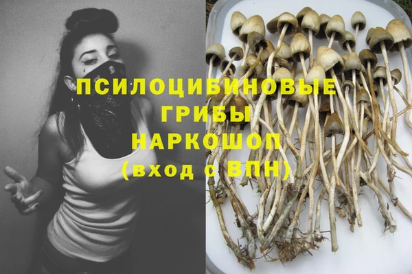 тгк Армянск